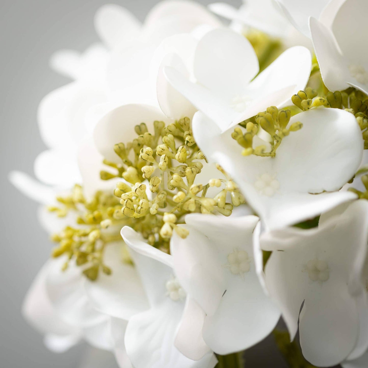 White Hydrangea Short Stem
