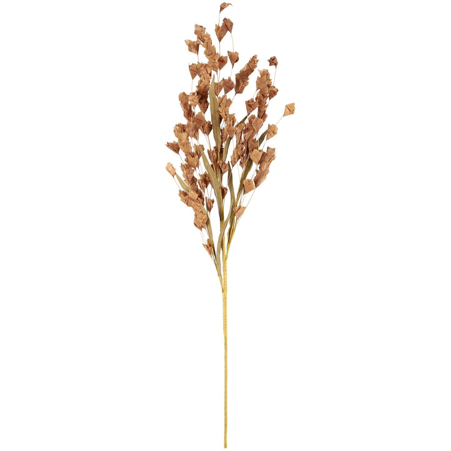 Brown Buds Floral Pick