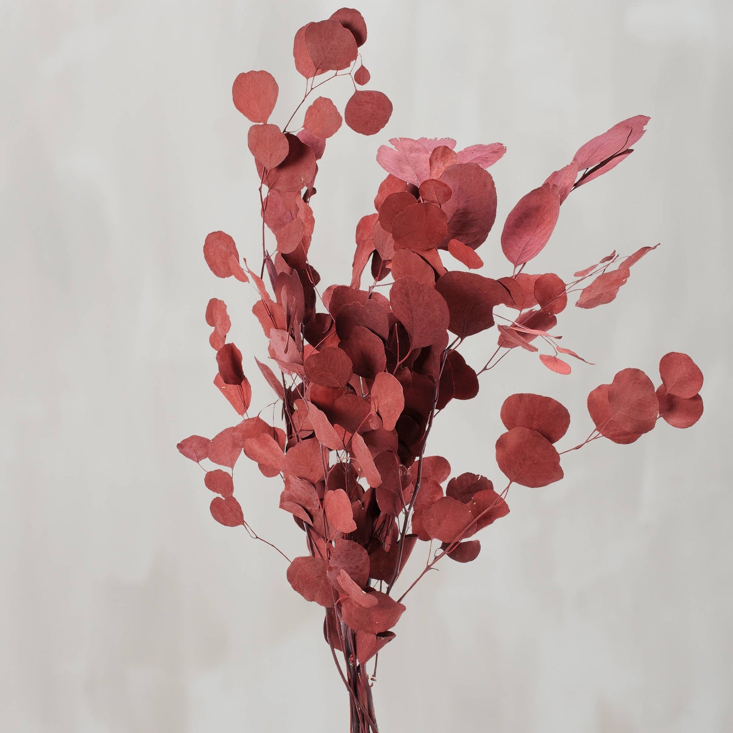 Red Silver Dollar Bouquet