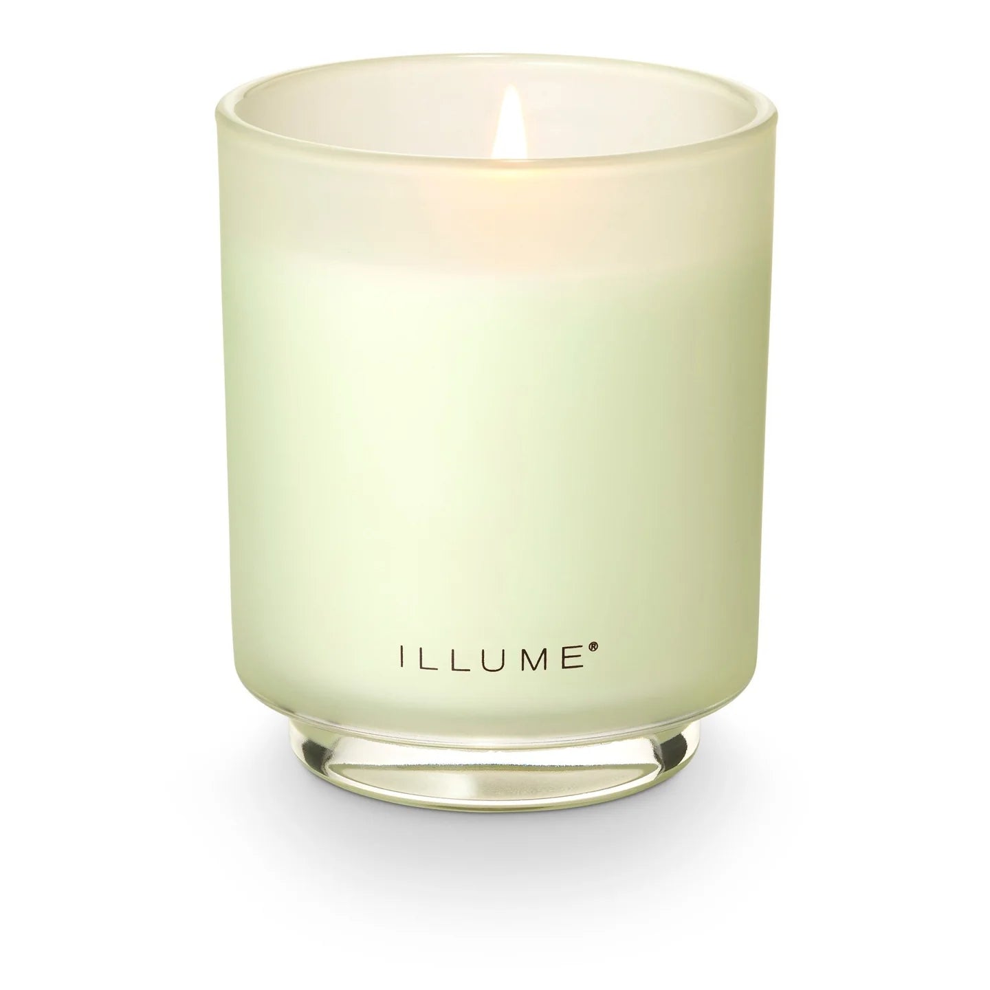 Borealis Moss Refillable Box Candle