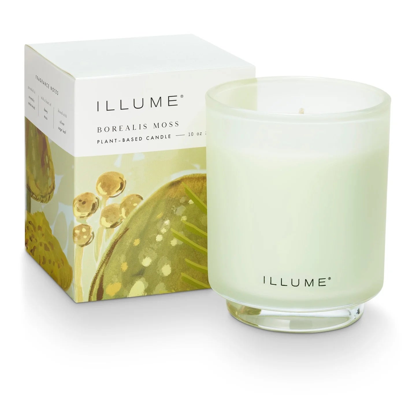 Borealis Moss Refillable Box Candle