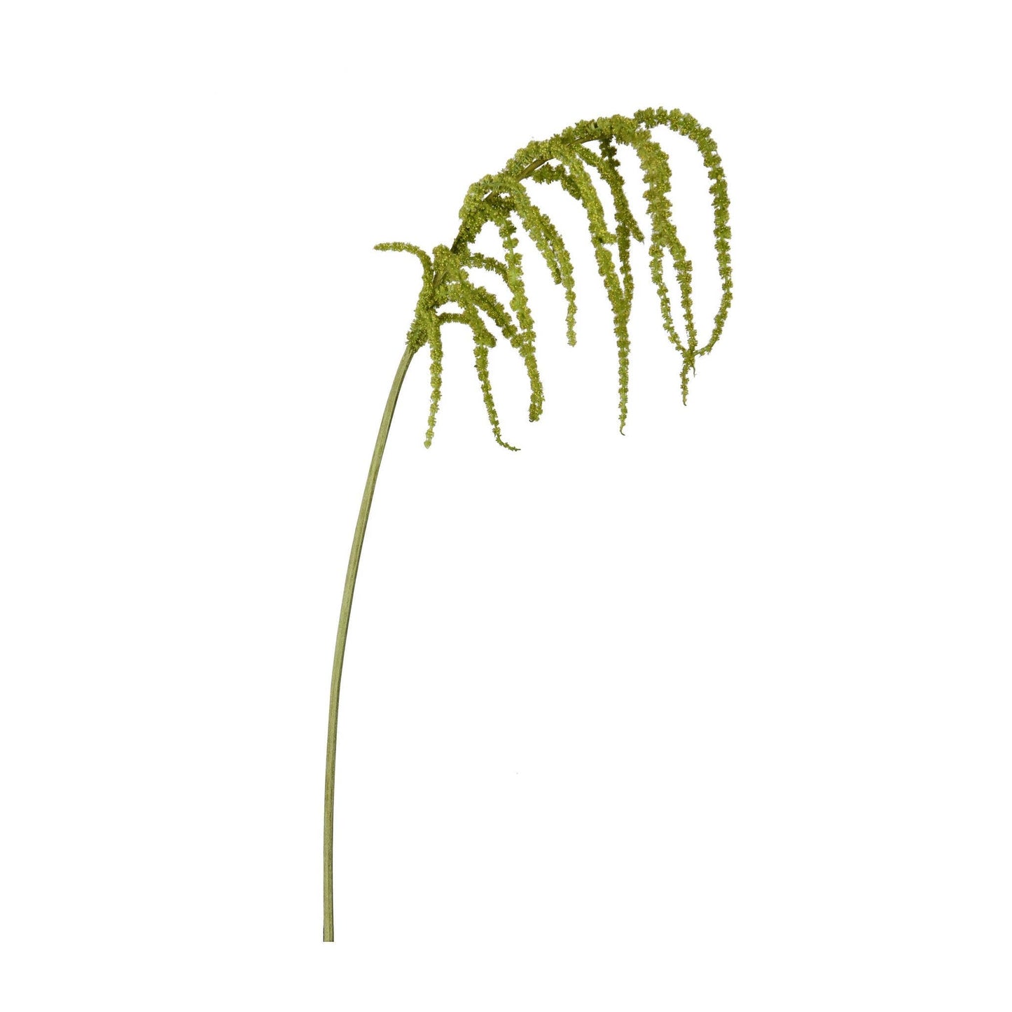 Amaranthus Hanging Spray - 39in