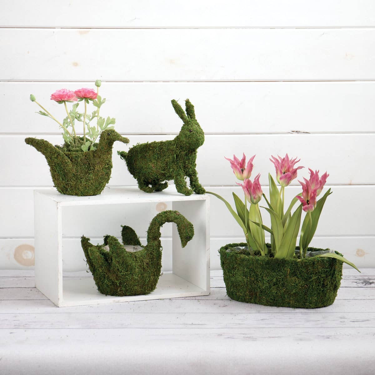 Duck Moss Planter