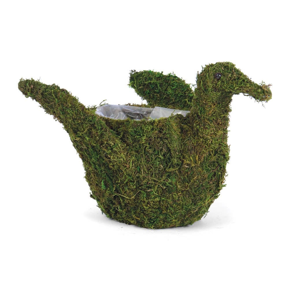 Duck Moss Planter