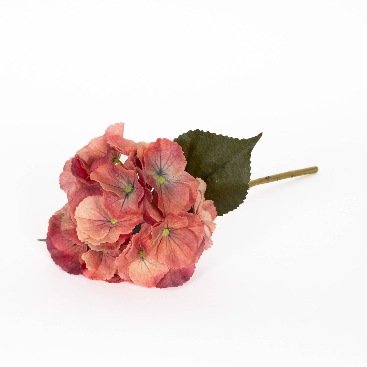 Terra-cotta Real Touch Hydrangea