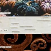 Midnight Pumpkin Tin Candle