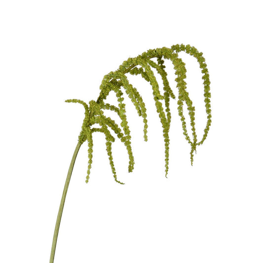 Amaranthus Hanging Spray - 39in