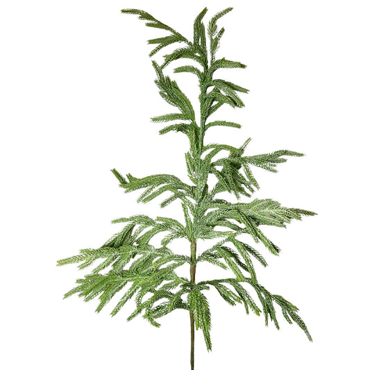Eastern Norfolk Pine Christmas Spray 36”