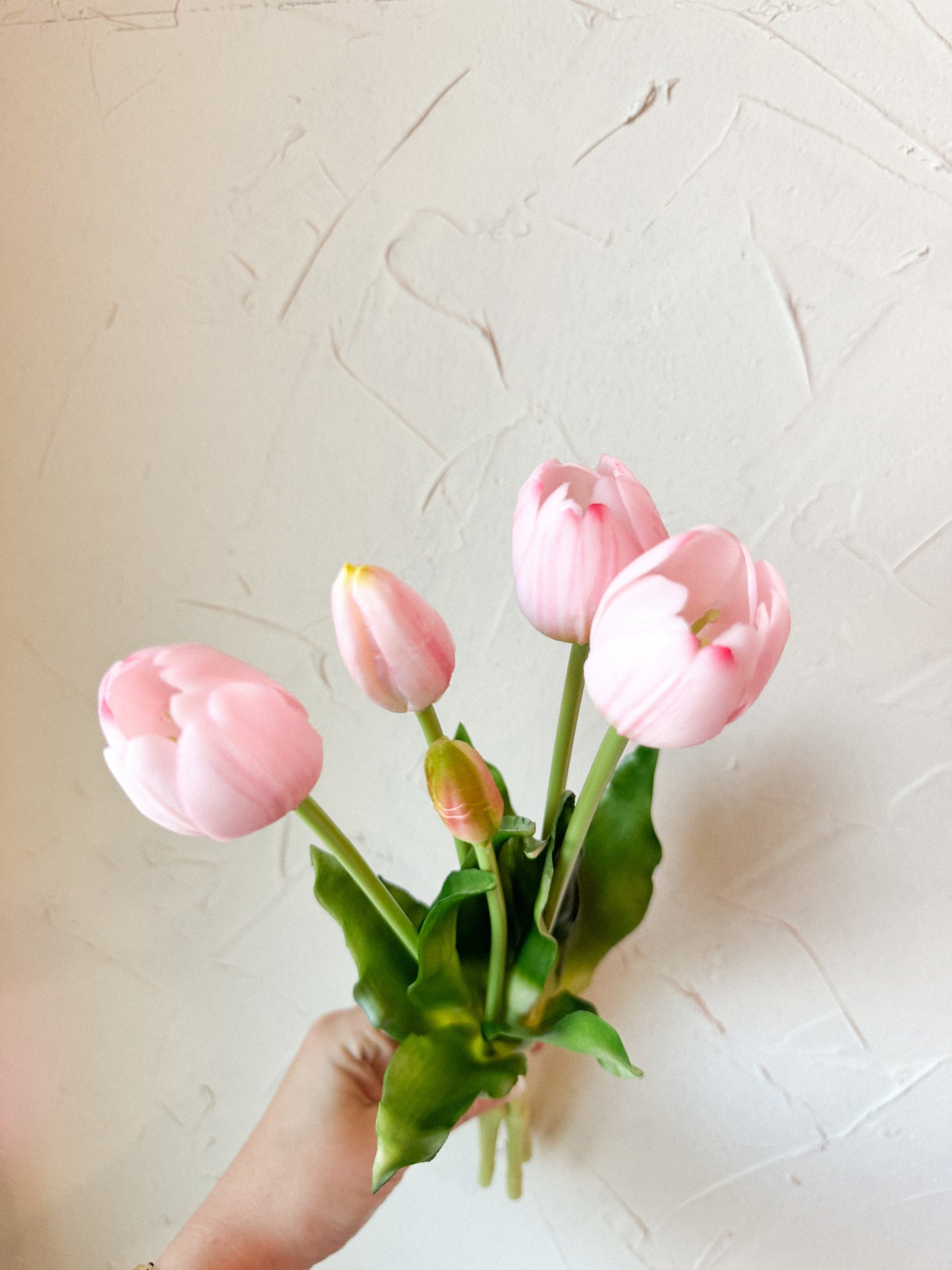 Tulip Bundles