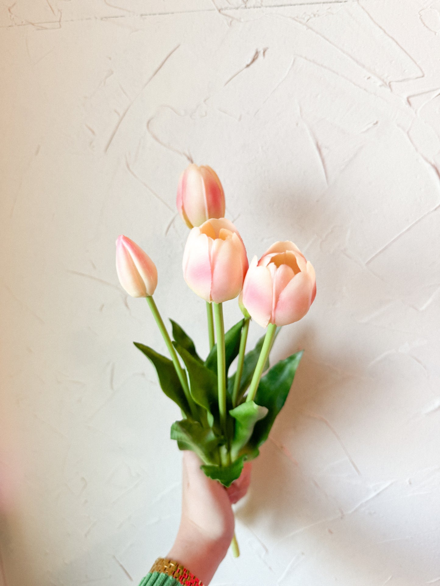 Tulip Bundles