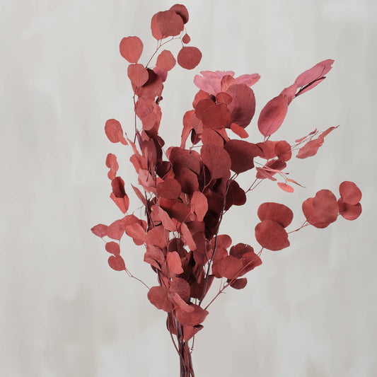 Red Silver Dollar Bouquet