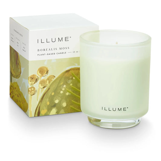 Borealis Moss Refillable Box Candle