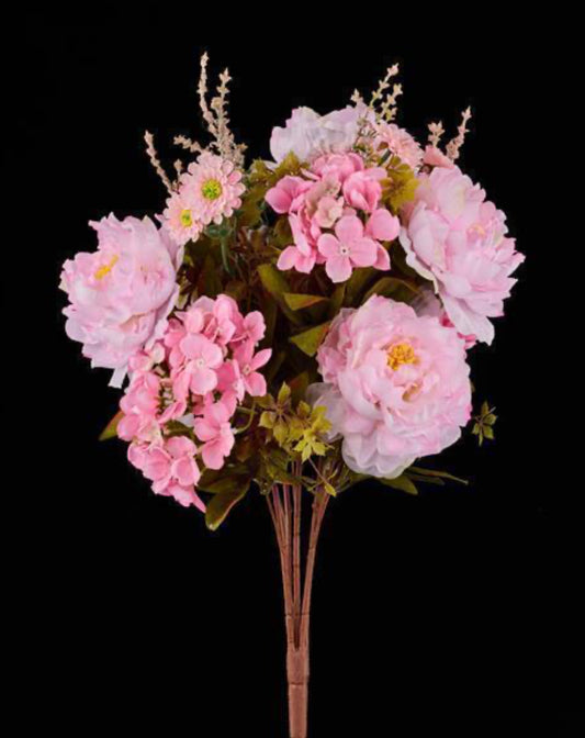 Peony/Daisy/Hydrangea Bush
