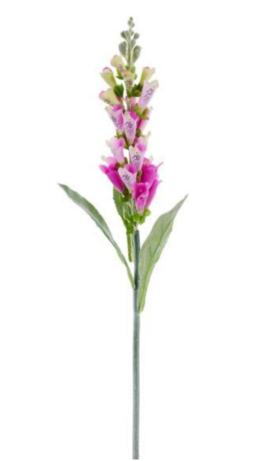 Foxglove Spray