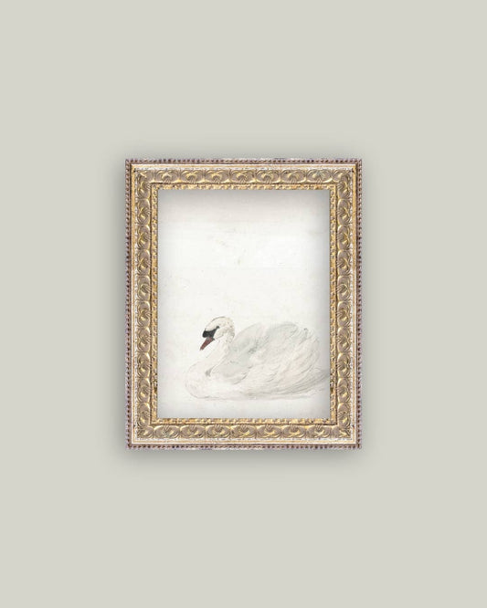 Swan Framed Antique Art