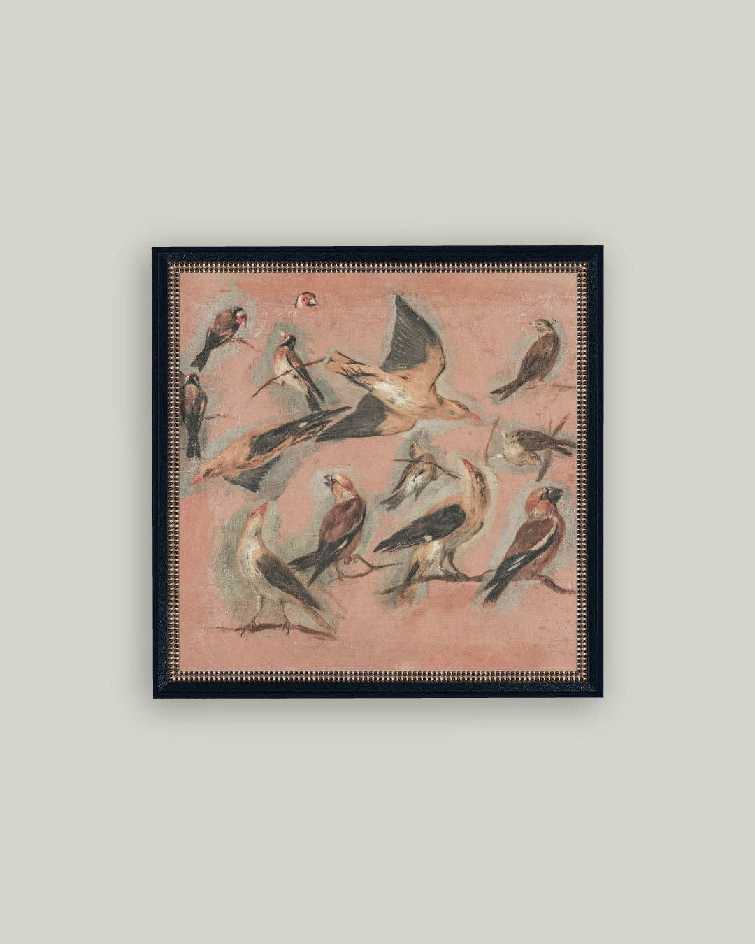 Pink Birds Framed Art - 16x16