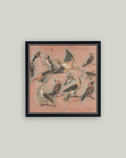 Pink Birds Framed Art - 16x16