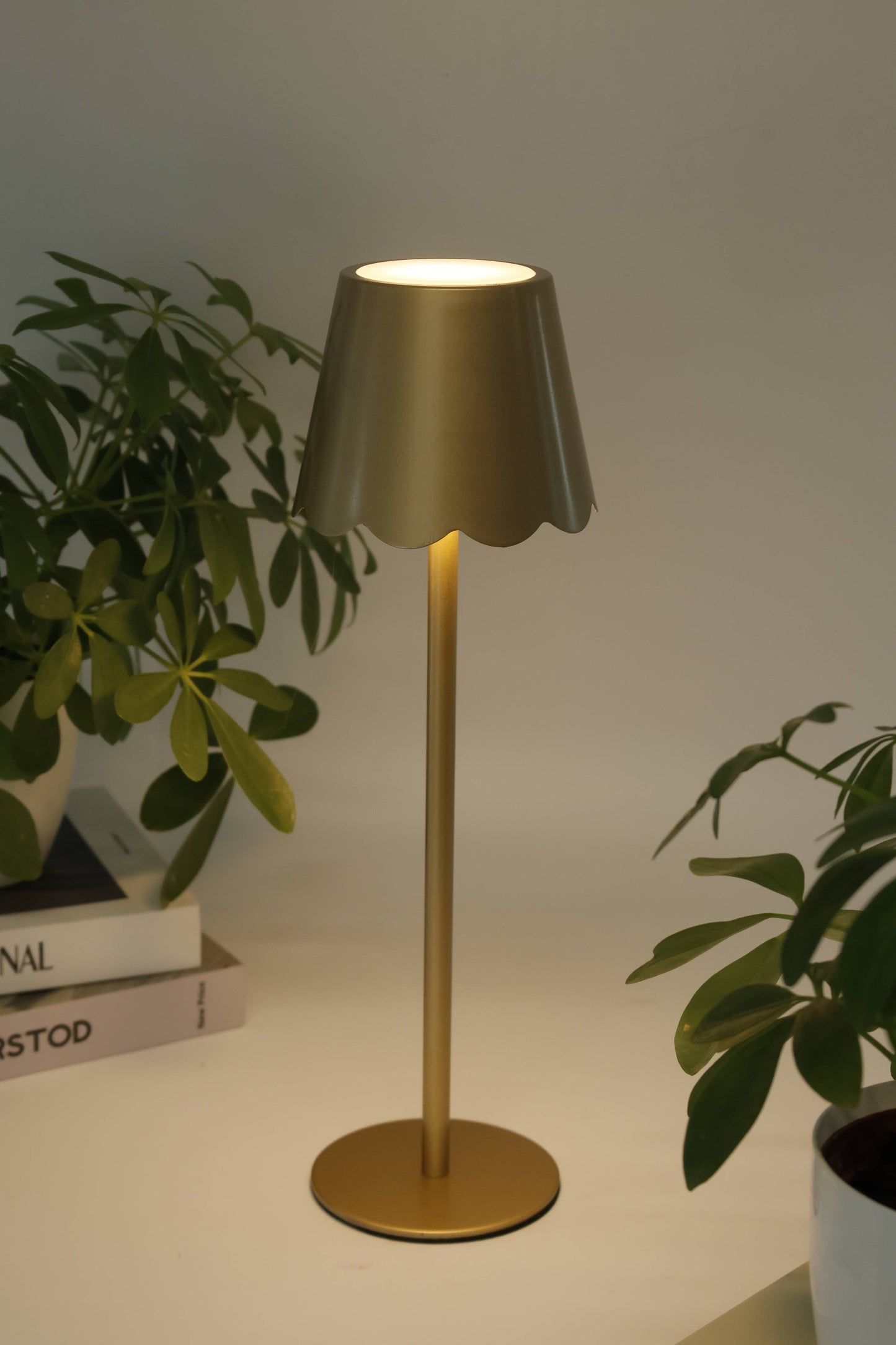 Scalloped Shade LED Rechargeable Lamp