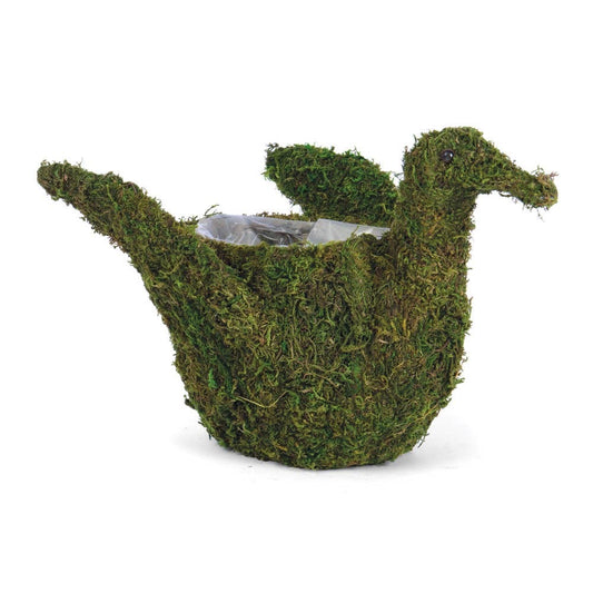 Duck Moss Planter