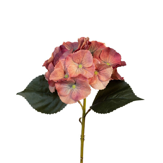 Terra-cotta Real Touch Hydrangea