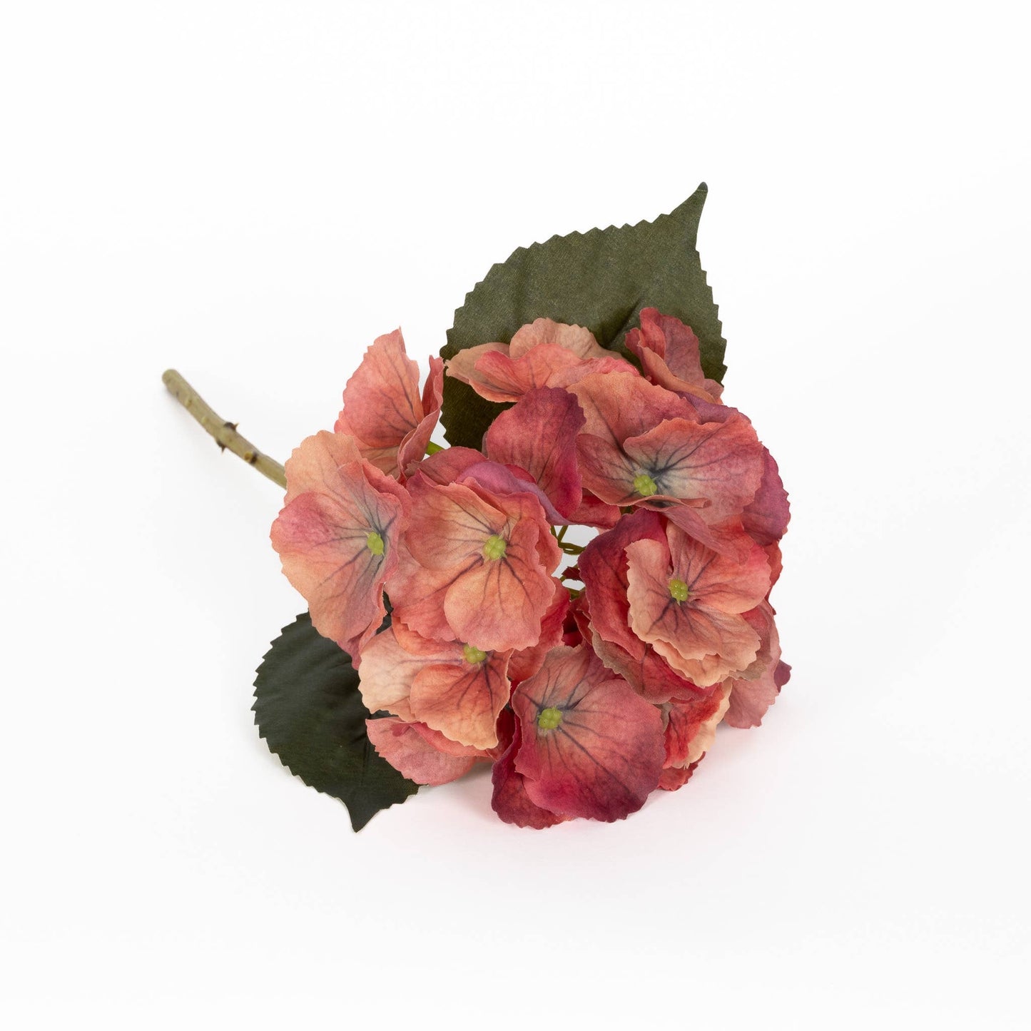Terra-cotta Real Touch Hydrangea