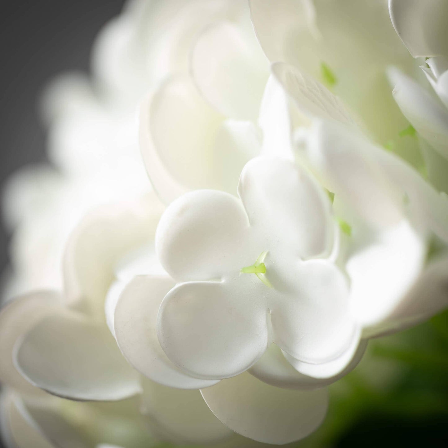 Fresh-Cut White Hydrangea Spray